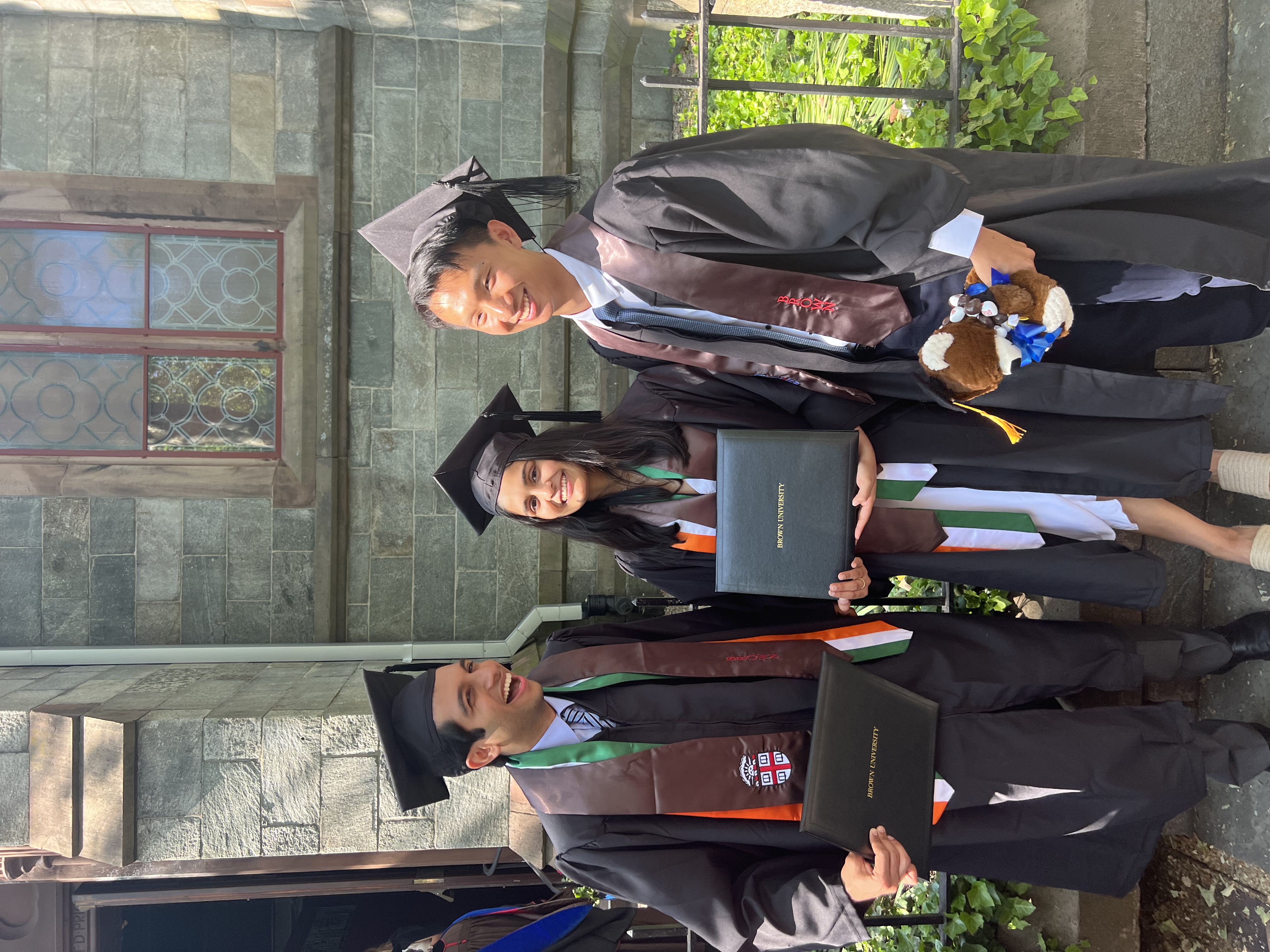 supporting image about brown.jpeg 